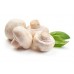 CHAMPIGNON FRESCO X 250 GRS