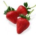 FRUTILLA X KG